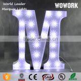 Illuminated LED Light thumbnail-5