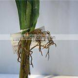 Home and Outdoor Garden Table Wedding Gate Decoration 60cm or 24inches H Artificial Fake Hands Yellow Onion Flowers E04 0607 thumbnail-4