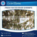 High Quality Fresh and Natural Water River Shrimps From Reliable Manufacturer thumbnail-3