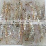 Sea Frozen White Shrimp thumbnail-2