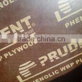 18mm Marine Plywoodwith Words on Film From China Factory thumbnail-1