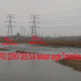 MEGATRO 220KV 2E8 SJ4 Tension Angle Transmission Tower thumbnail-2