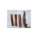 Dry Trachea thumbnail-1