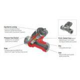 Check Valve thumbnail-3