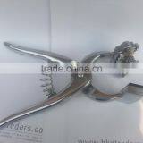 Animal Tattoo thumbnail-3