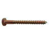 Hexagonal Wood Screw thumbnail-3