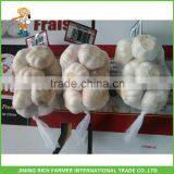 China Wholesale Price Natural Garlic thumbnail-1