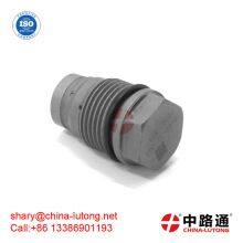 BOSCH Pressure Relief Valve 1 110 010 035 Common Rail High Pressure Relief Valve thumbnail-1
