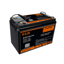 12V 120Ah LiFePO4 Battery