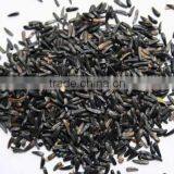 Niger Seeds thumbnail-1