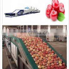 Made in CHINA Fruit & Vegetable Processing Machines Fruit Vegetable Washing Equipments thumbnail-5