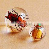 New design rutilated quartz crystal ball / sphere with real ember embedded for promotional gift