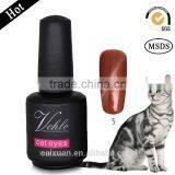2015 New & Hot Sale China Factory Free Sample Soak off Cat Eye Gel Polish With Msds Quality Choice thumbnail-4