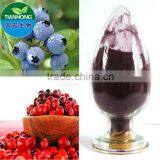 Natural Bilberry Extract of High Quality Anthocyanidin 25%
