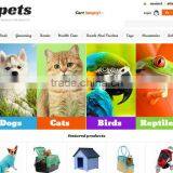 Web Designer in India