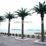 2015 Artificial 3-30m Indoor or Outdoor Canary Date Palm Tree,artificial Tree,artificial Plant thumbnail-6