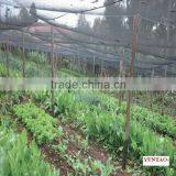 Waterproof Polyester Green Shade Sail thumbnail-1