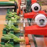 Norwayho Elastic Twine for Flower Binding