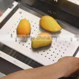 Best Kitchen Sink Band HOUSESTAR 2015 Top Selling 304 Stainless Steel Kitchen Sink Colander Stainless Steel Gird for Sale thumbnail-6