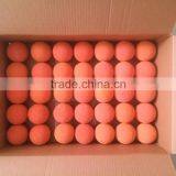 Sany Pump Soft 5 Inch Deck Pipe Clean Out Ball thumbnail-6