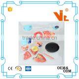 V-HM11 4D MASTER Human Heart Assembled Model thumbnail-5