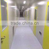 Clean Room Door Customized thumbnail-1