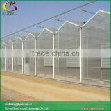 Venlo Type Polycarbonate Greenhouse Greenhouse for Agriculture thumbnail-1