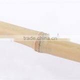 Festival Celebrate Bamboo Tiki Torch thumbnail-4