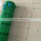 Plastic Wire Mesh/Plastic Flat Mesh/Plastic Plain Netting thumbnail-3