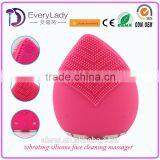 EveryLady New Arrival Colorful Electric Face Massager thumbnail-1