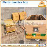 Plastic Hive , Beehive for Sale