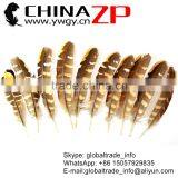 No.1 Supplier CHINAZP Top Selling 20-25cm Length Natural Reeves Venery Wing Pheasant Feathers for Decorations thumbnail-5