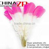ZPDECOR Wholesale Cheap Bulk Pink Half Dipped Bicolourable Turkey Feathers for Fashion Decorations thumbnail-3