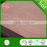 1220x2440mm ,18mm teak plywood for decorate