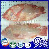 China Export Tilapia Fish Whole Round Seafood Product thumbnail-5