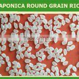 Vietnamese Jasmine Fragrant White Rice - High Quality GOOD FOR HEALTH thumbnail-3