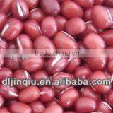 2015 Crop Kidney Bean thumbnail-2