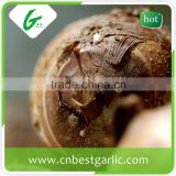 Shandong fresh taro price