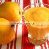 Natural Alphonso Mango Pulp thumbnail-1
