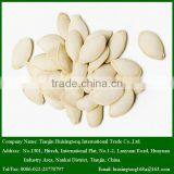 Roasted and Salted Pumpkin Seeds in Bulk thumbnail-1