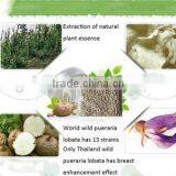 Thailand Pueraria Mirifica Capsules Big Breast Enhancement 1000 Pcs thumbnail-2
