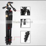 Easily Adjusted Tripods thumbnail-1