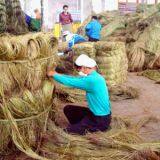 Ramie Fiber thumbnail-4