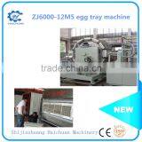 Simple to Use the Egg Tray Machine Egg Tray Making Machine Egg Box Machine thumbnail-6