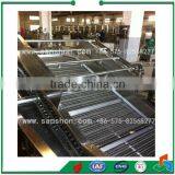 China Tomato Washing Machine,Tomato Washer thumbnail-2