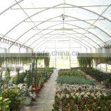 RoughBrothers Coldframe Series Galvanized Steel Frame Vegetable Tunnel Plastic Greenhouse thumbnail-3