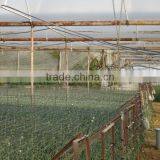Hot Sell High Strength, Large Size With Anti-UV, Anti Fog, Anti Drip Agricultural Greenhouse Cover thumbnail-4
