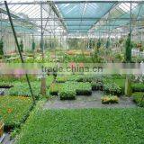 ISO Certificate Polycarbonate Prefabricated Garden Greenhouse for Sale thumbnail-1