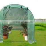 Tunnel Greenhouse thumbnail-1