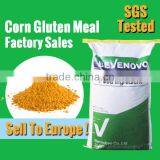 Corn Gluten Meal Plant Offer 65 Protein For Animal Feed Grade